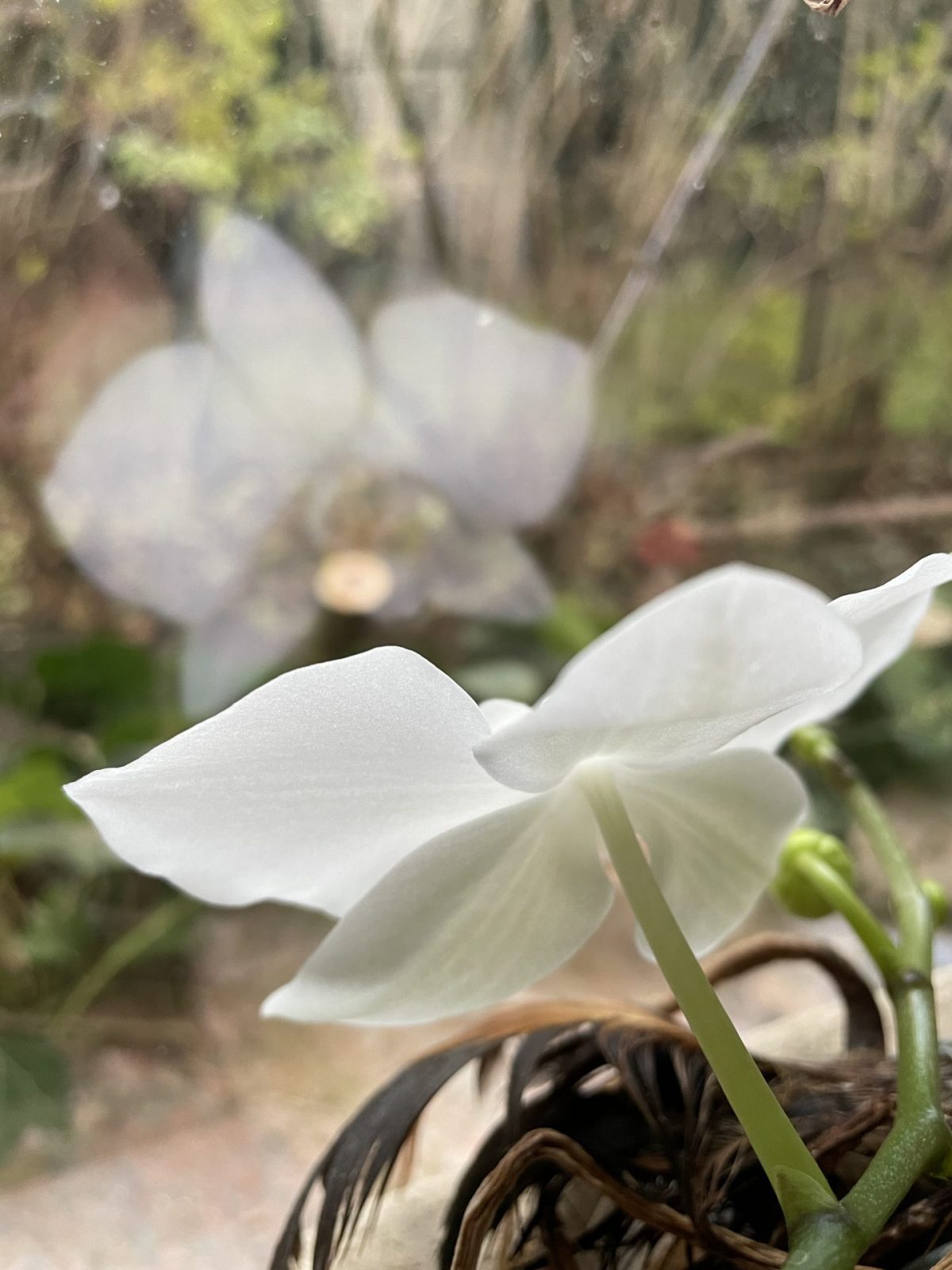 E08483D5-4772-455E-92F0-DED5AE188445