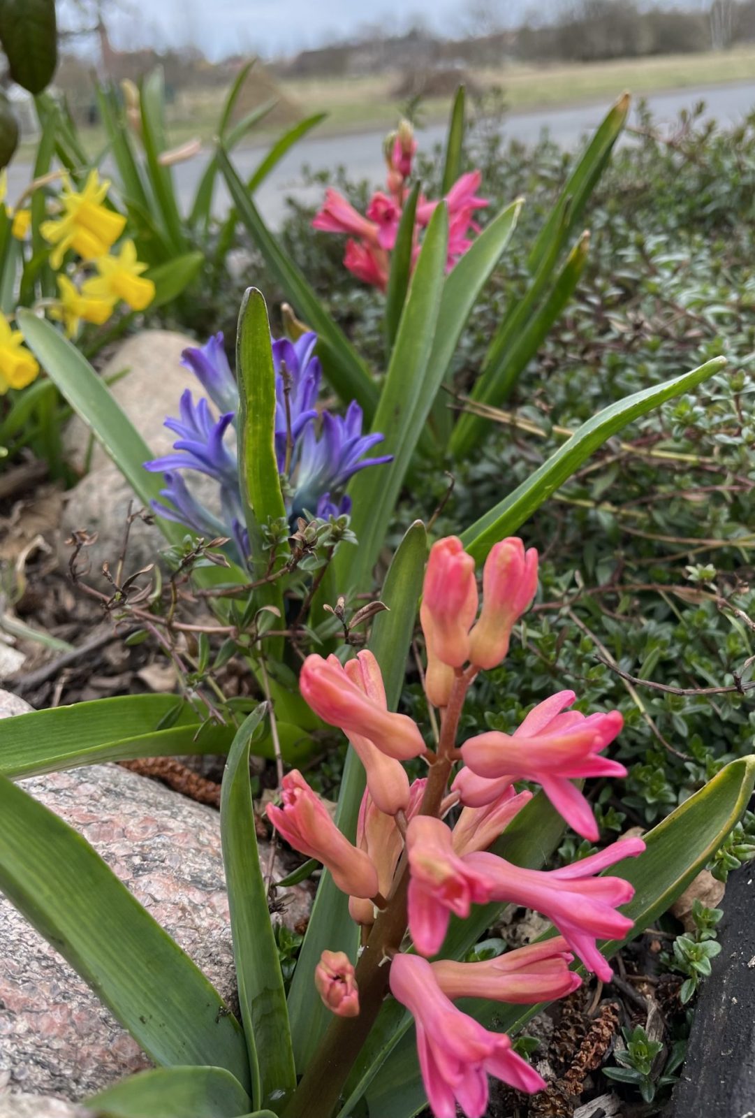 E0E514E2-6B3E-4BAB-BA75-C1672A49CEFA