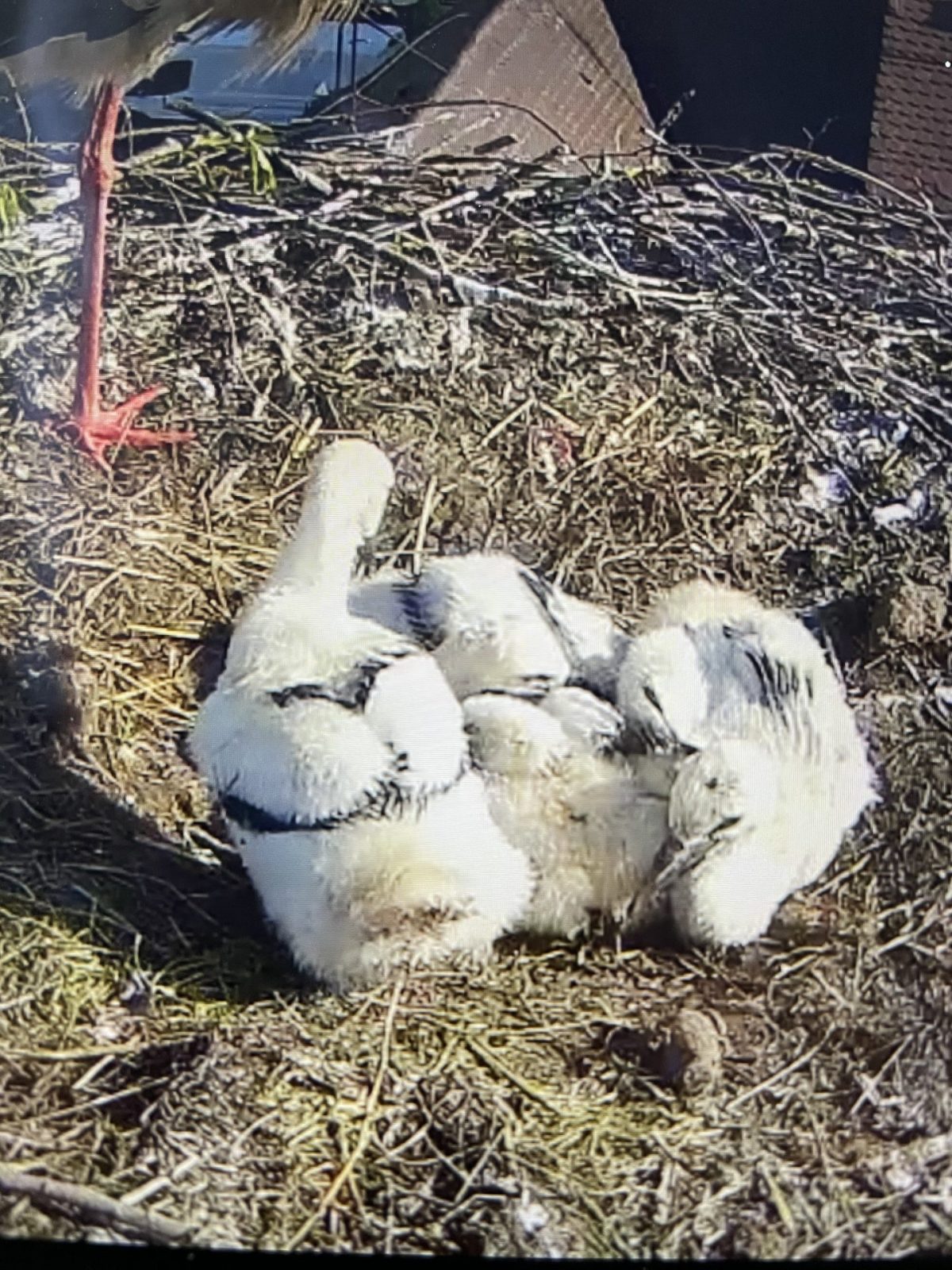 E164A37A-3F4D-427B-8D2A-9ED71B87D8C4