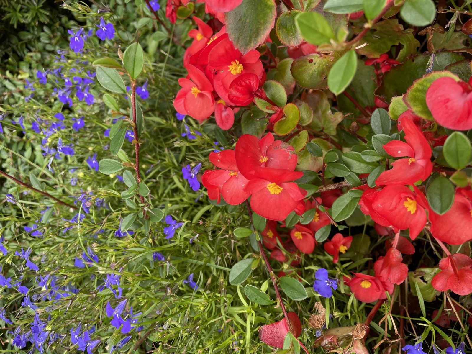 E1769C7E-4168-4849-BC39-20D5B88AD086