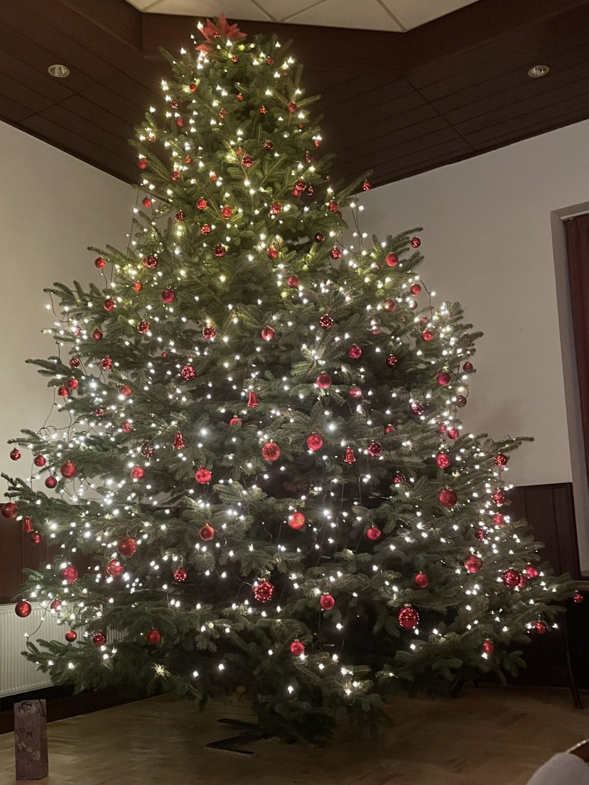 E25F8318-8A9F-41AD-A3B7-2CBB9FC6815C