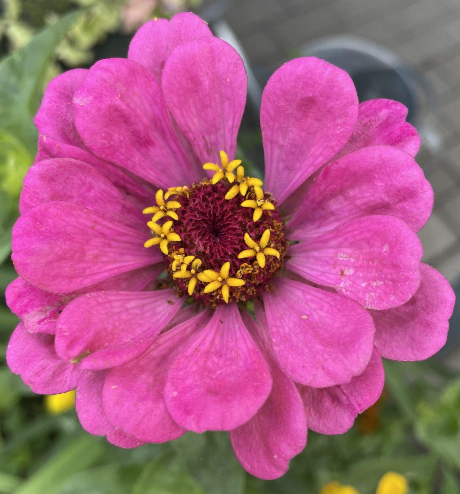 E2682C8A-2EC0-4BF3-BA91-620ACD2B36B2