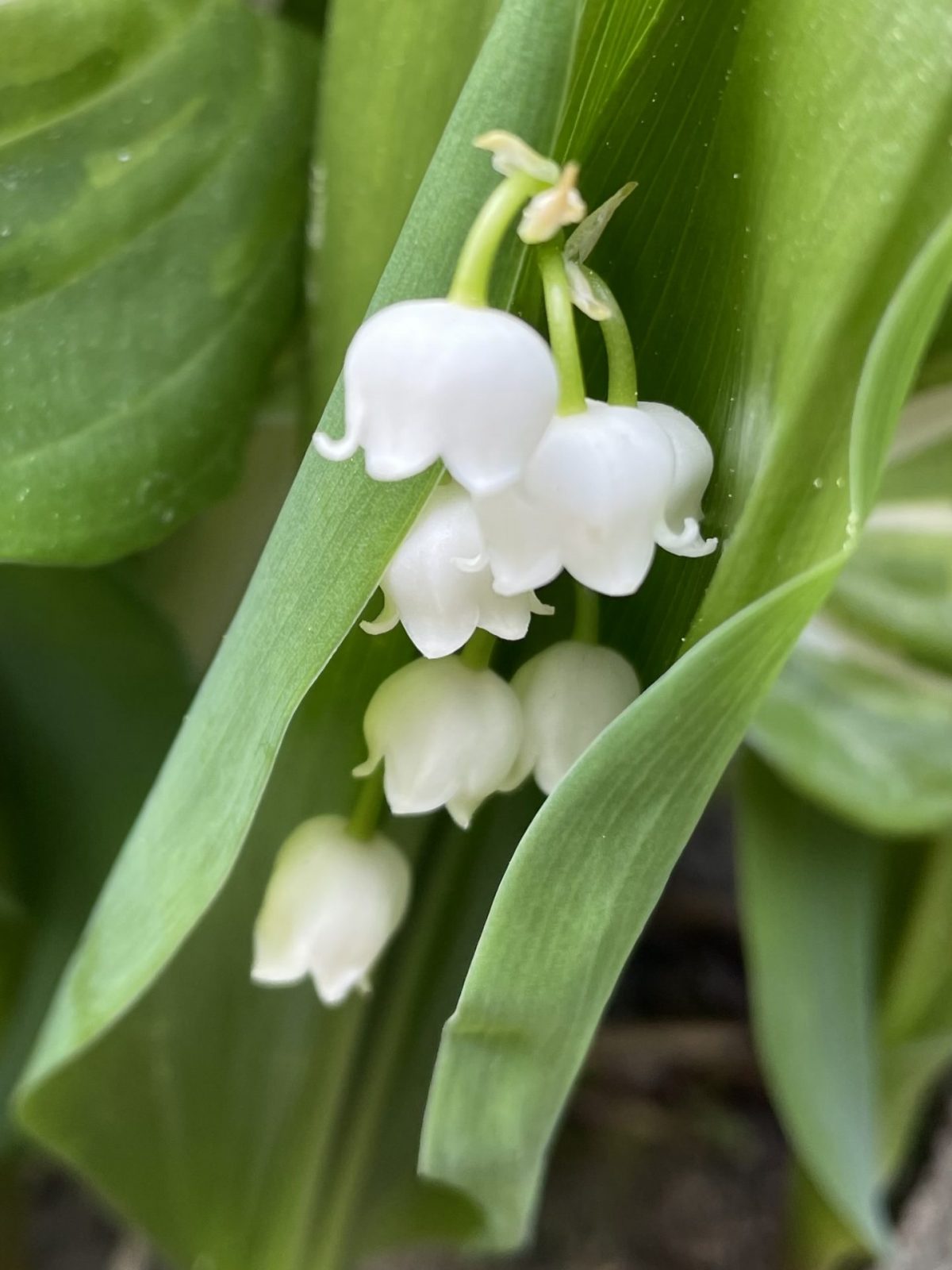 E270C574-D822-4D66-AFF9-DBC9C1ED2C20