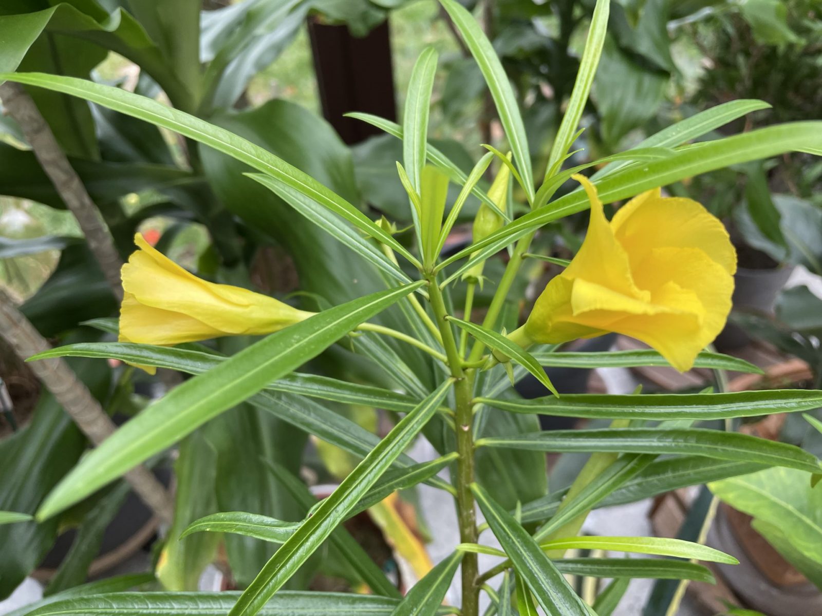 E279A5A1-571A-4D1C-9F67-86094777BF22