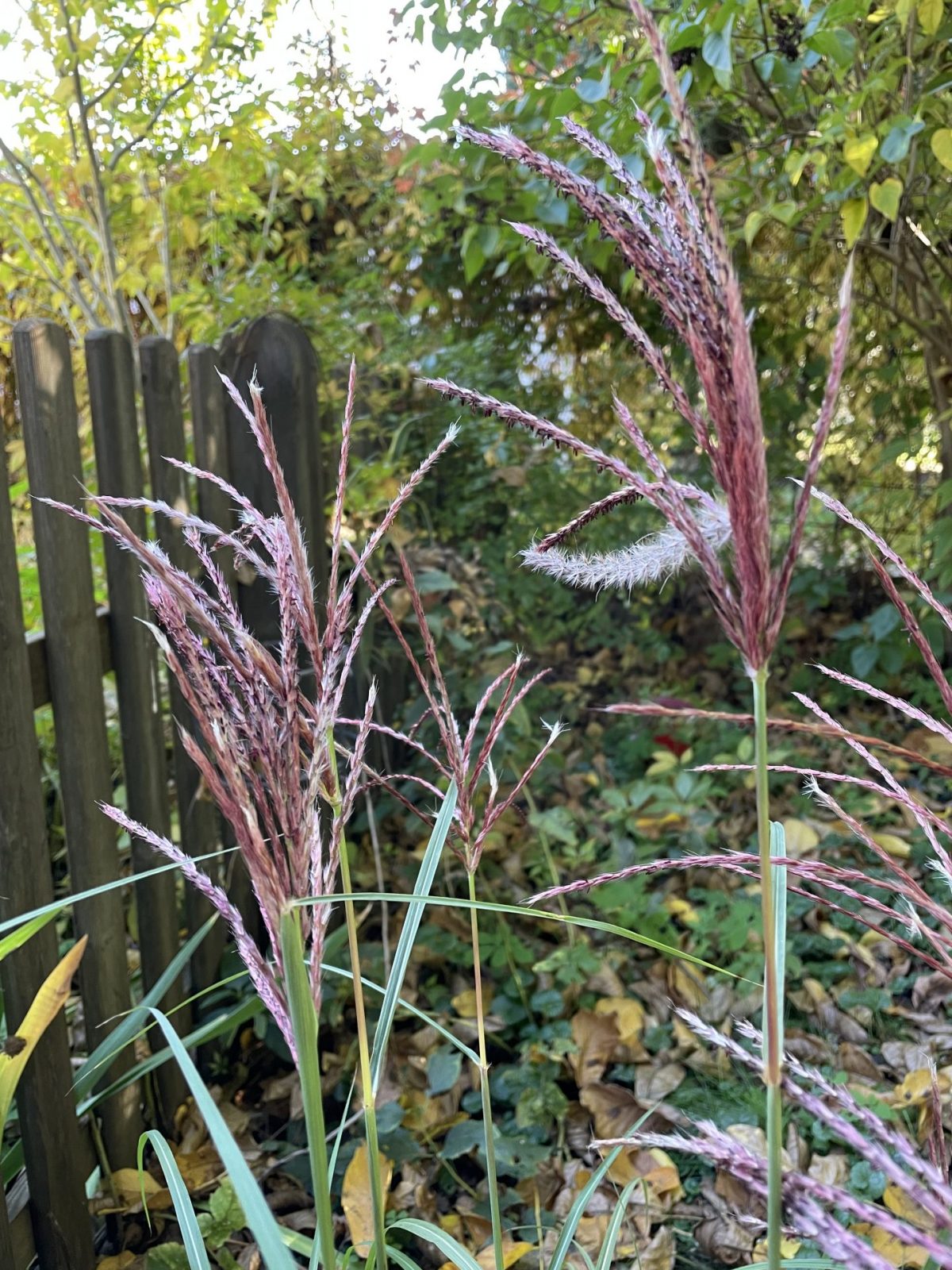 E2B6DDC5-B290-47D0-8F07-0DD6A487A1B6