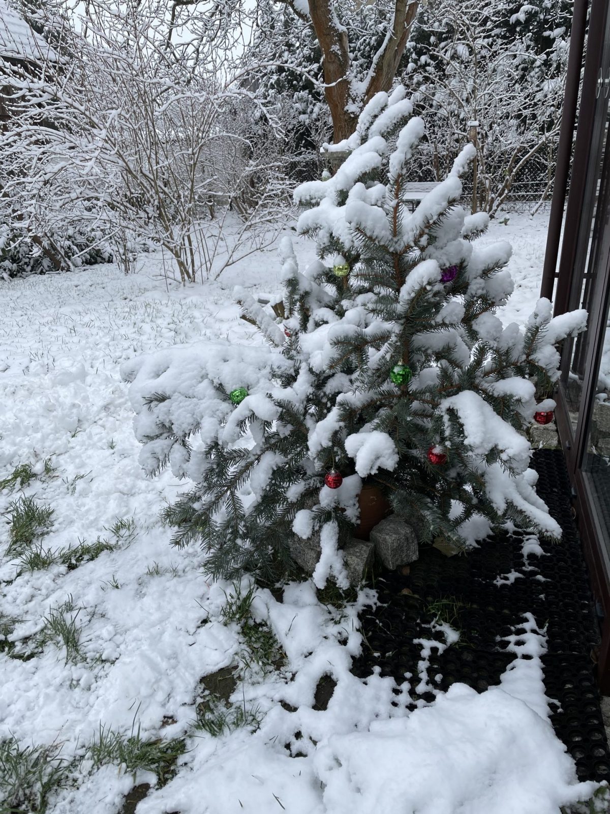 E2D6FB80-CF4C-48AA-8FD6-BD44DB2794DB