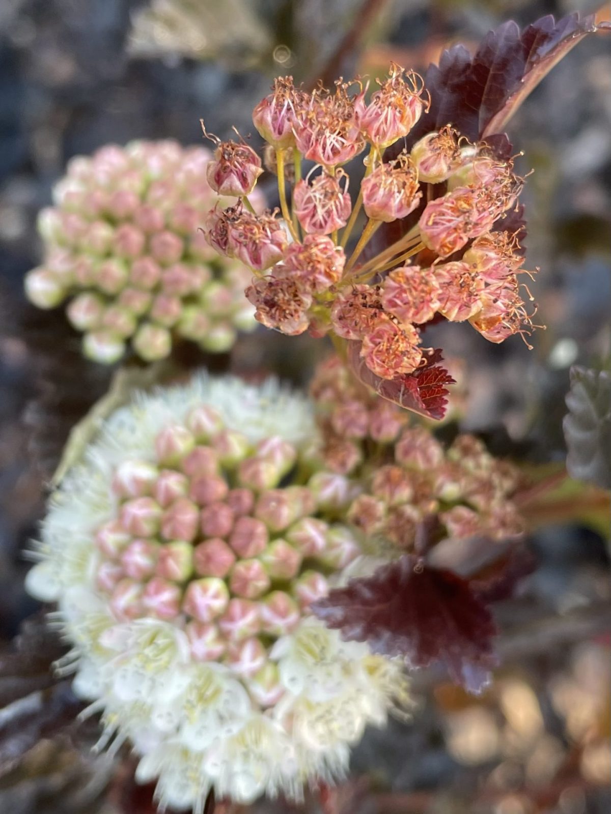 E2EF5029-C7AF-4CB7-A584-EAB37E57BC22