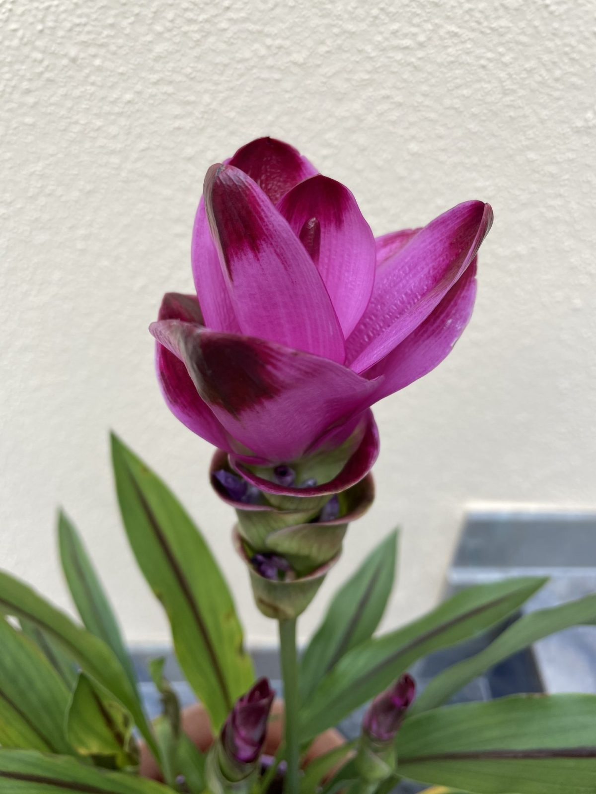 E30FC1BC-06DC-4005-97F8-E573DC25BFB3