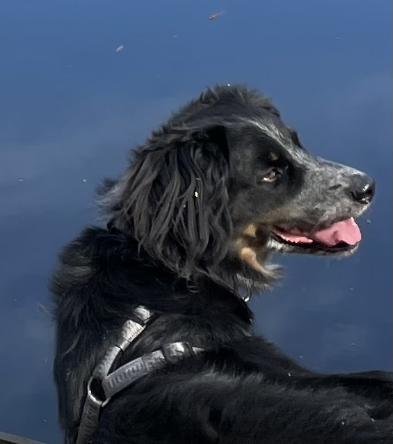 E3E22F7D-E0EB-436A-94C2-EBB2C2B30D10