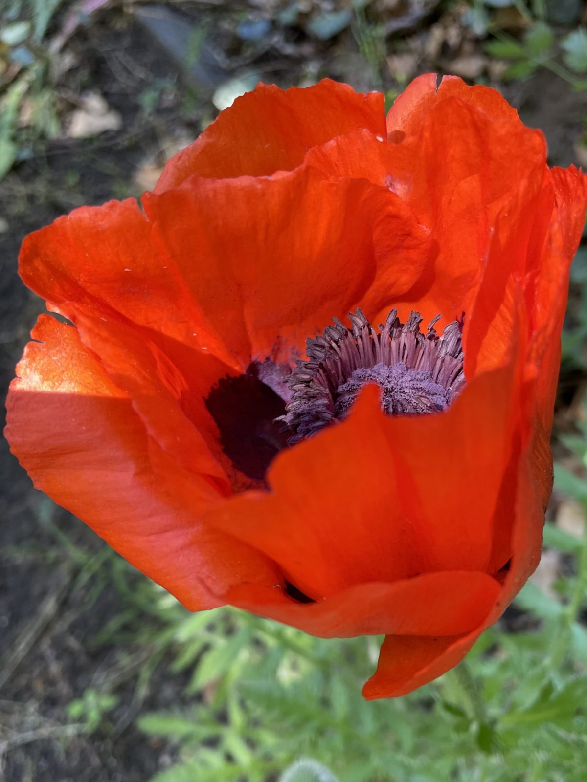 E41086CF-5D63-46E1-9C3A-5F37EF8923F1