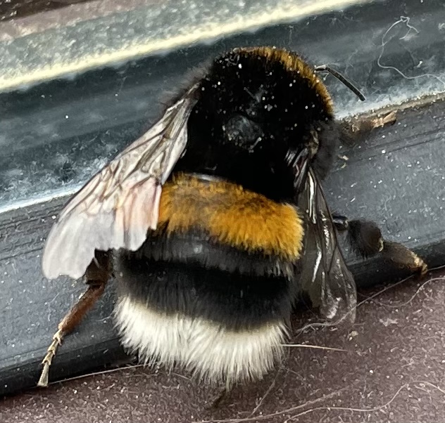 E41C4B52-AA96-4085-9B00-BBAB7994AB26