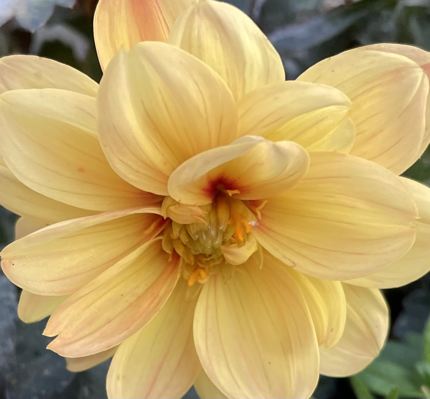 E45BDDD5-483D-4B4F-8B99-45DA1070C8CD