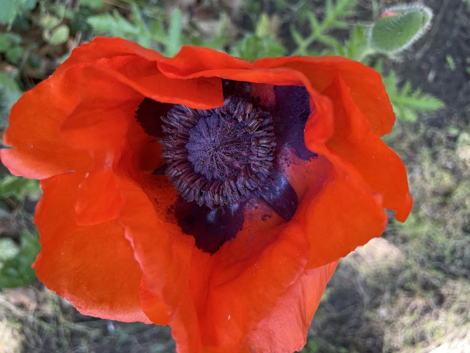 E47716CD-640E-4433-A26B-DED7A9A97070