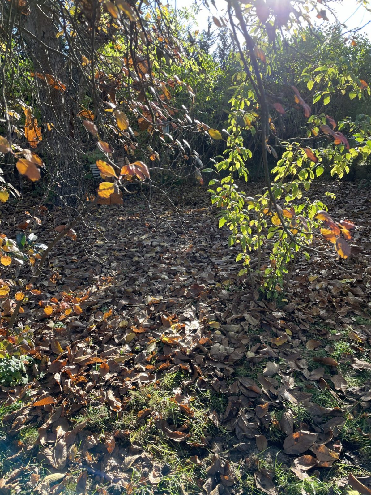 E523D8B9-1B87-4167-8433-A3CFCBF3D2A3