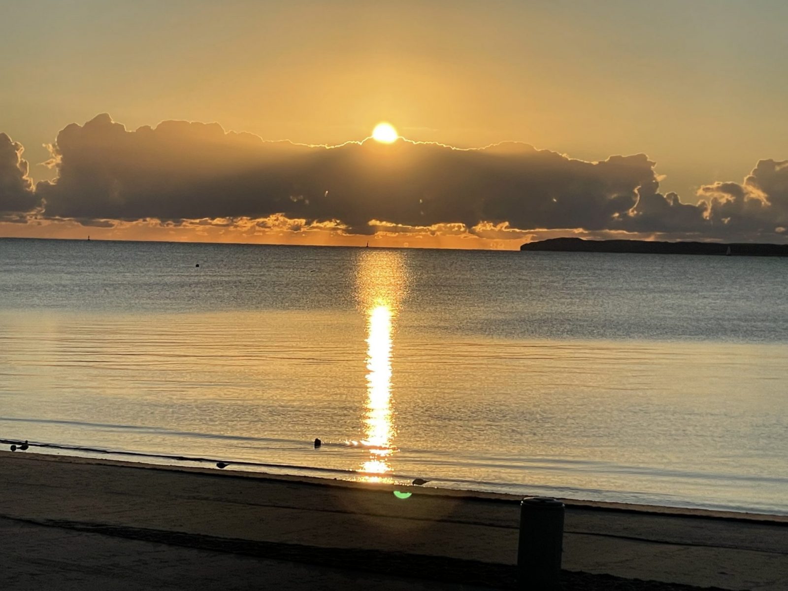 E54C5D4E-43EC-462F-BD45-6E178DDEBE8C