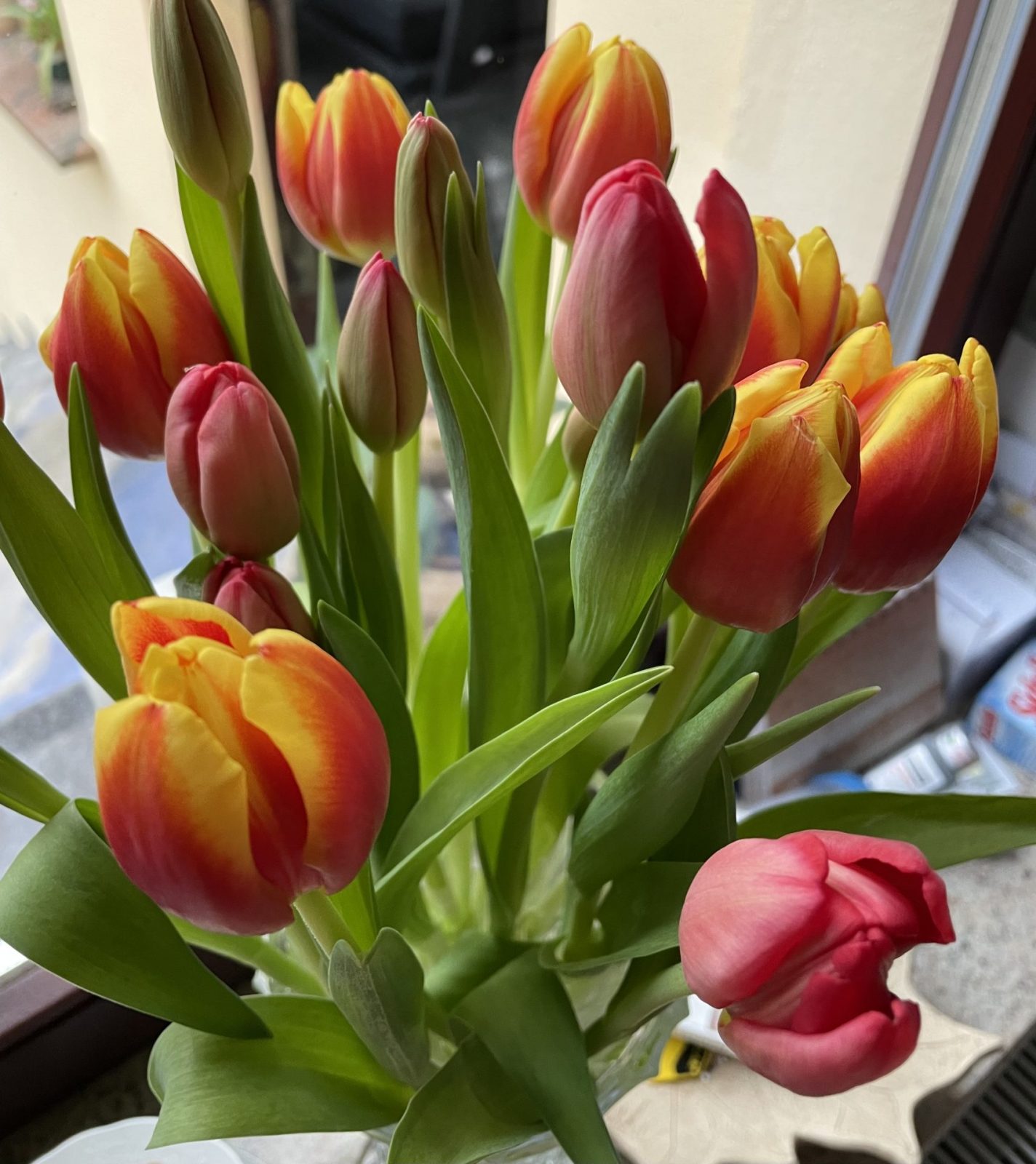 E588F932-5147-4852-BF08-1EC0EA0C175A