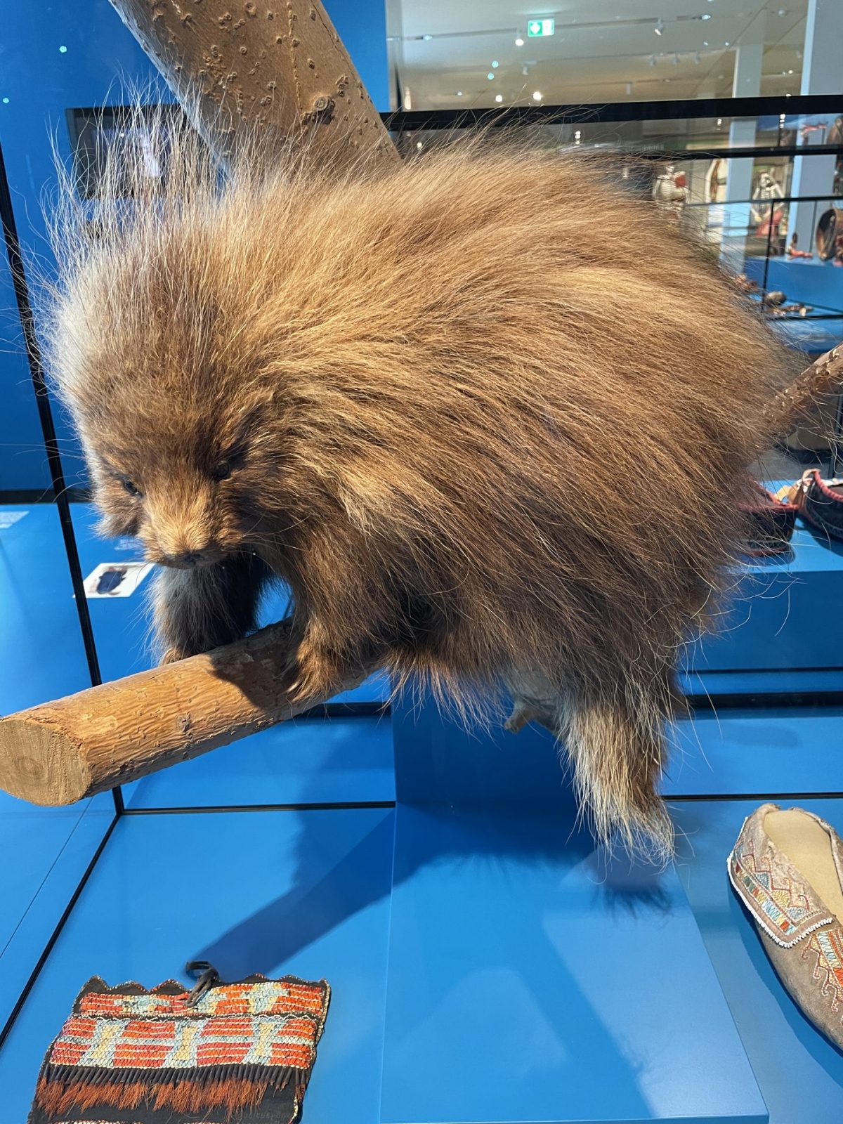 E5893F2C-C98E-432C-99D3-BAAADB3A302B