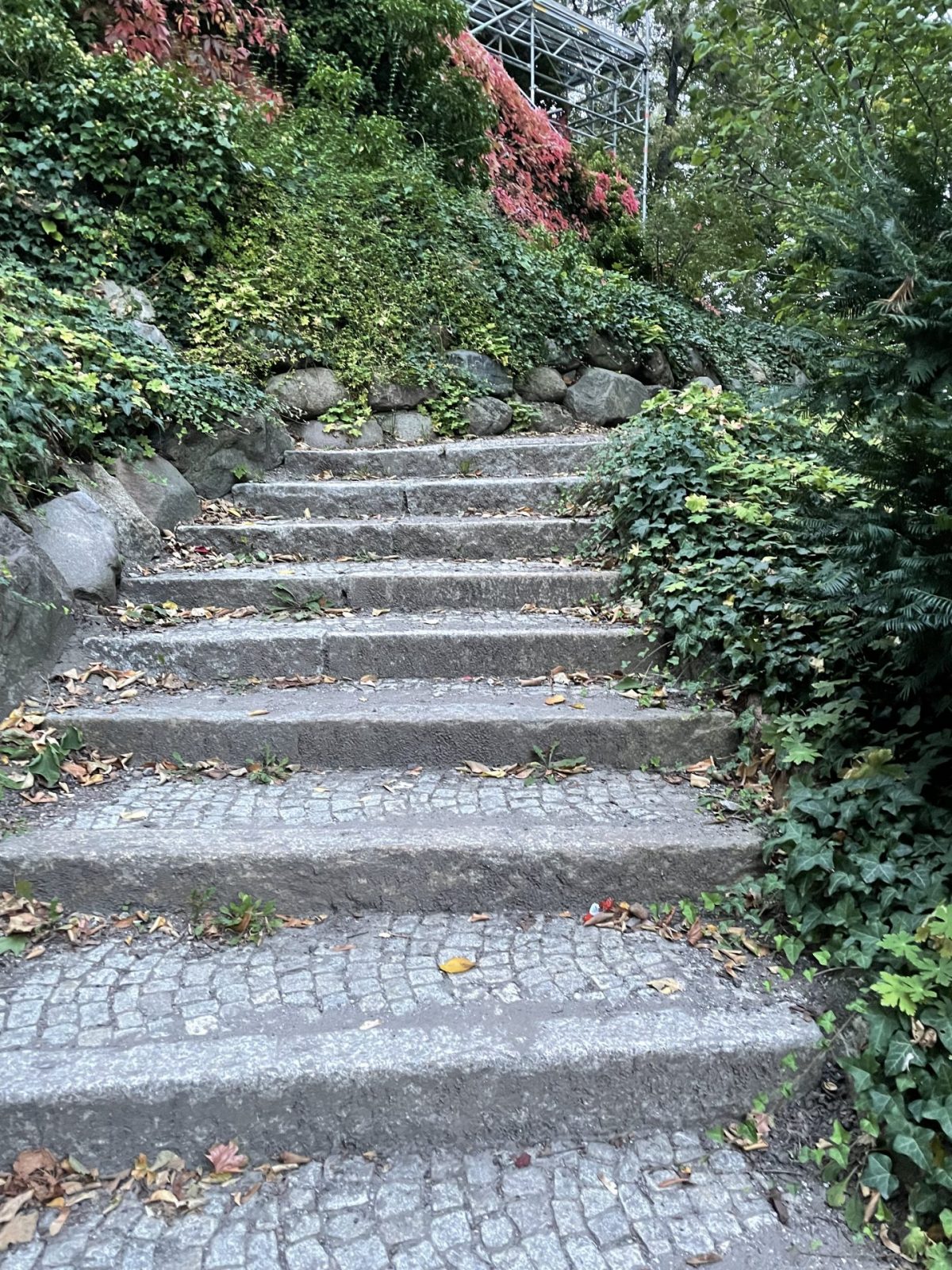 E5E6D740-D405-4015-84A2-B3D042349FDF