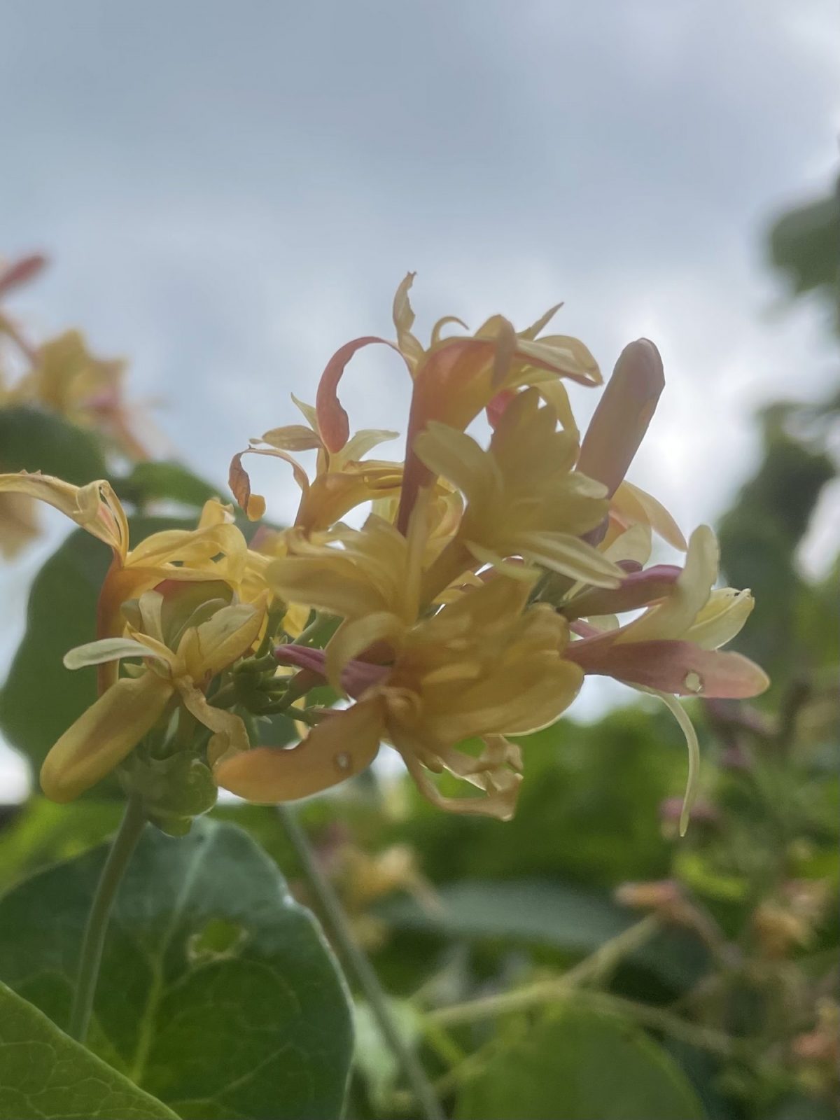 E5FCEAC2-6E20-4A8A-8860-D4C3073DE435