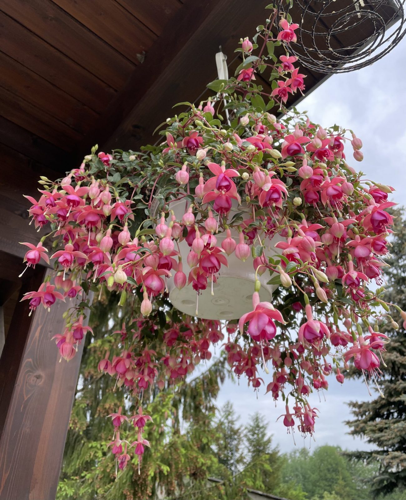 E691A702-922A-41AA-8EE9-7EDDC8EC3A76