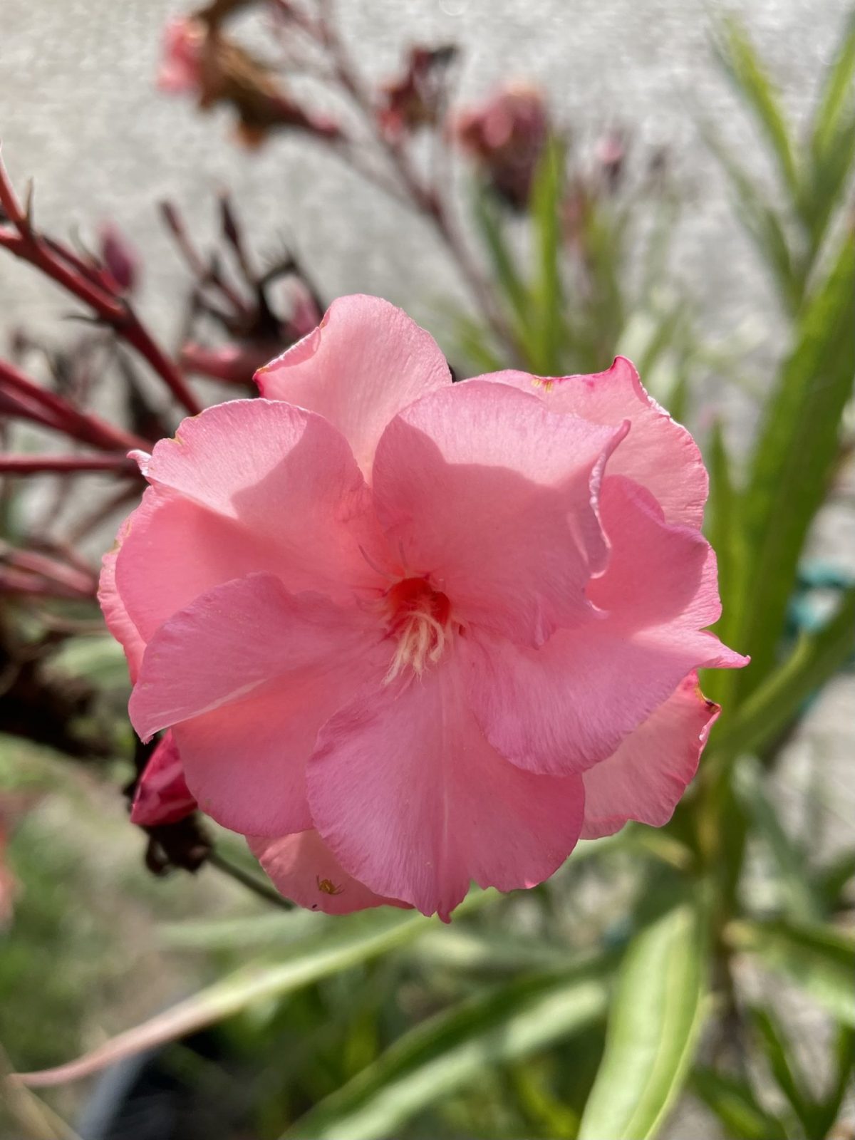 E6F5AAF0-09BE-40B7-83D9-14FDBA2A13B2