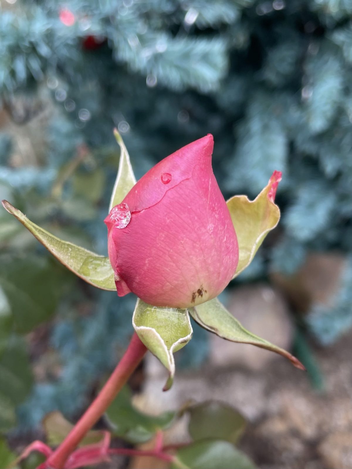 E6F9ADDB-2851-44E0-8656-48F298FB915C