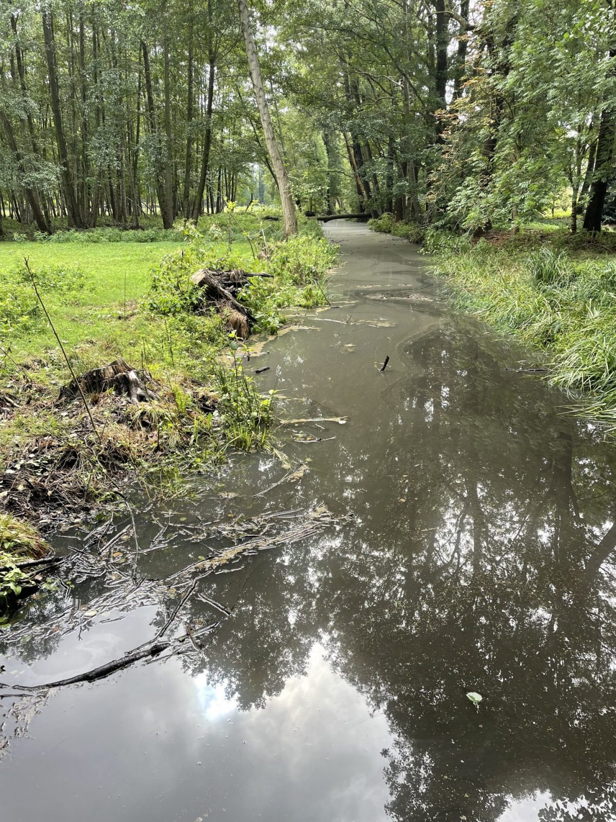 E71647C1-840D-45BD-9D22-0C6077CD4A5B