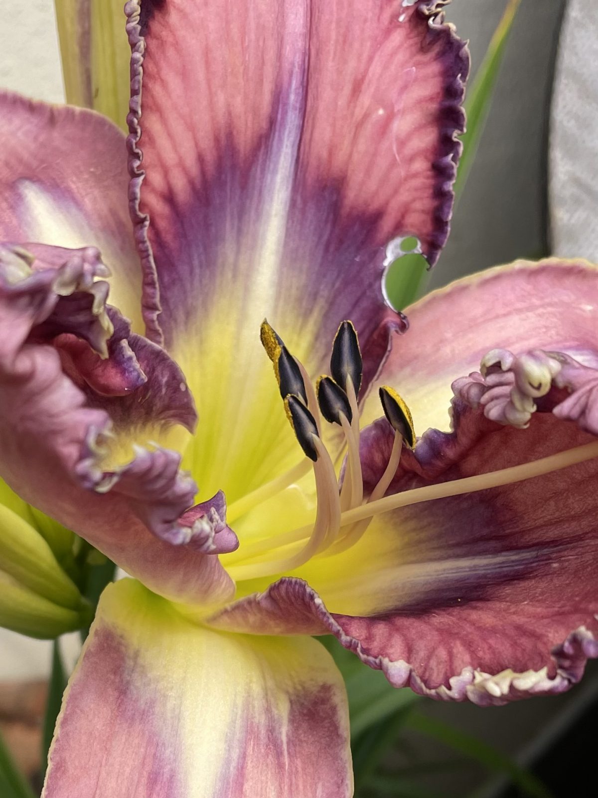 E7263563-D7C3-4D88-9596-7CE33F1C2E87