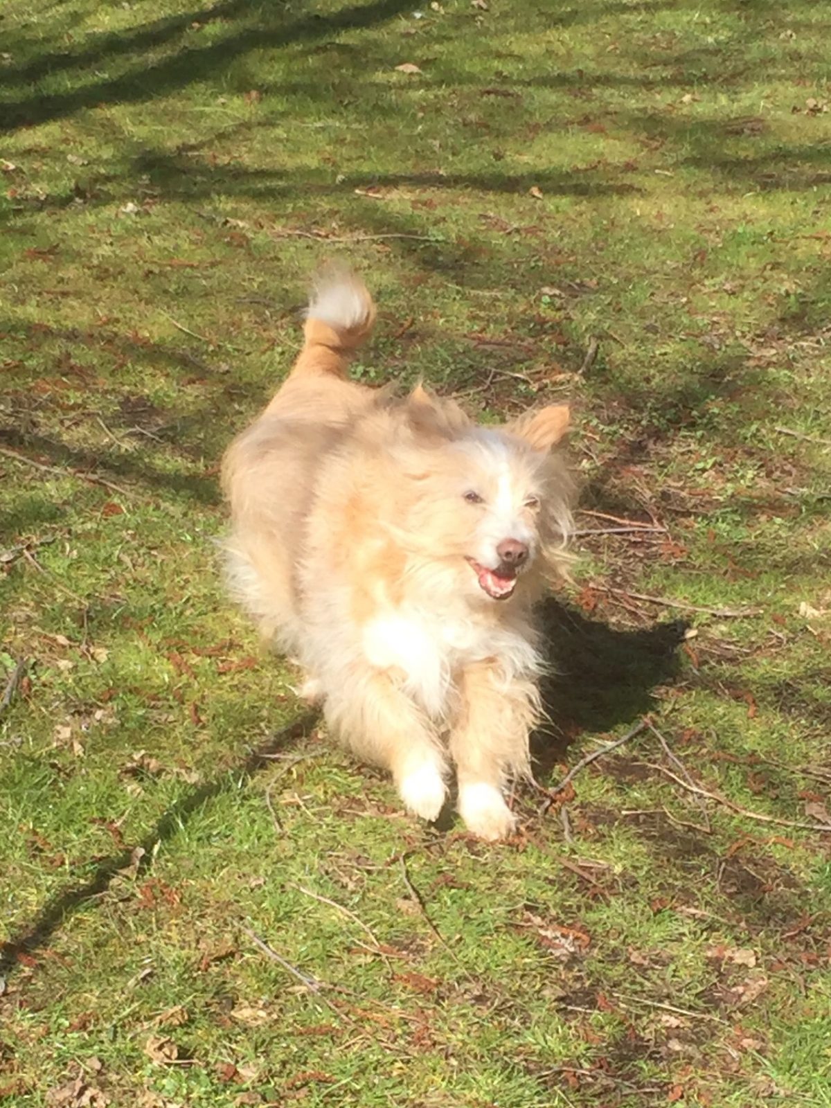 E7458B2E-ADE2-433E-9128-8FBA0F52B475