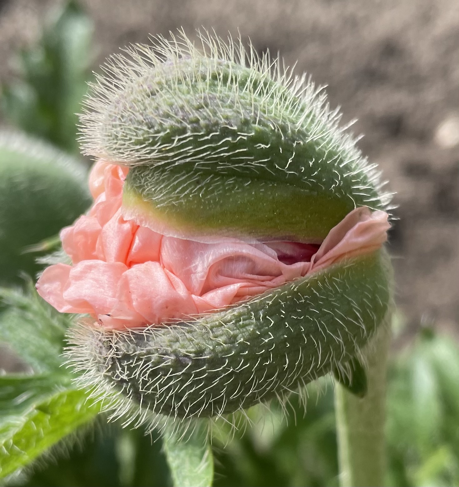 E752D3BB-0B2E-47DD-AC22-53000A98F46C