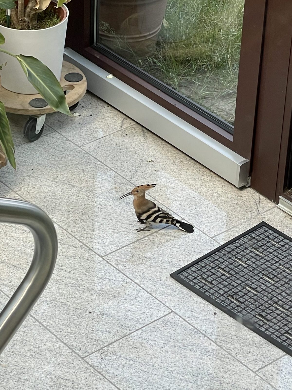 E7A2144D-F0BE-4738-B1E0-6297A75B04AA