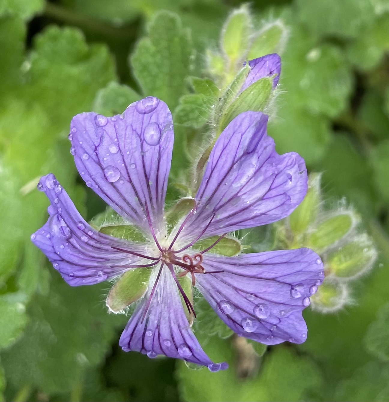 E8175DEA-94A3-414A-B661-8F6368E3B61A