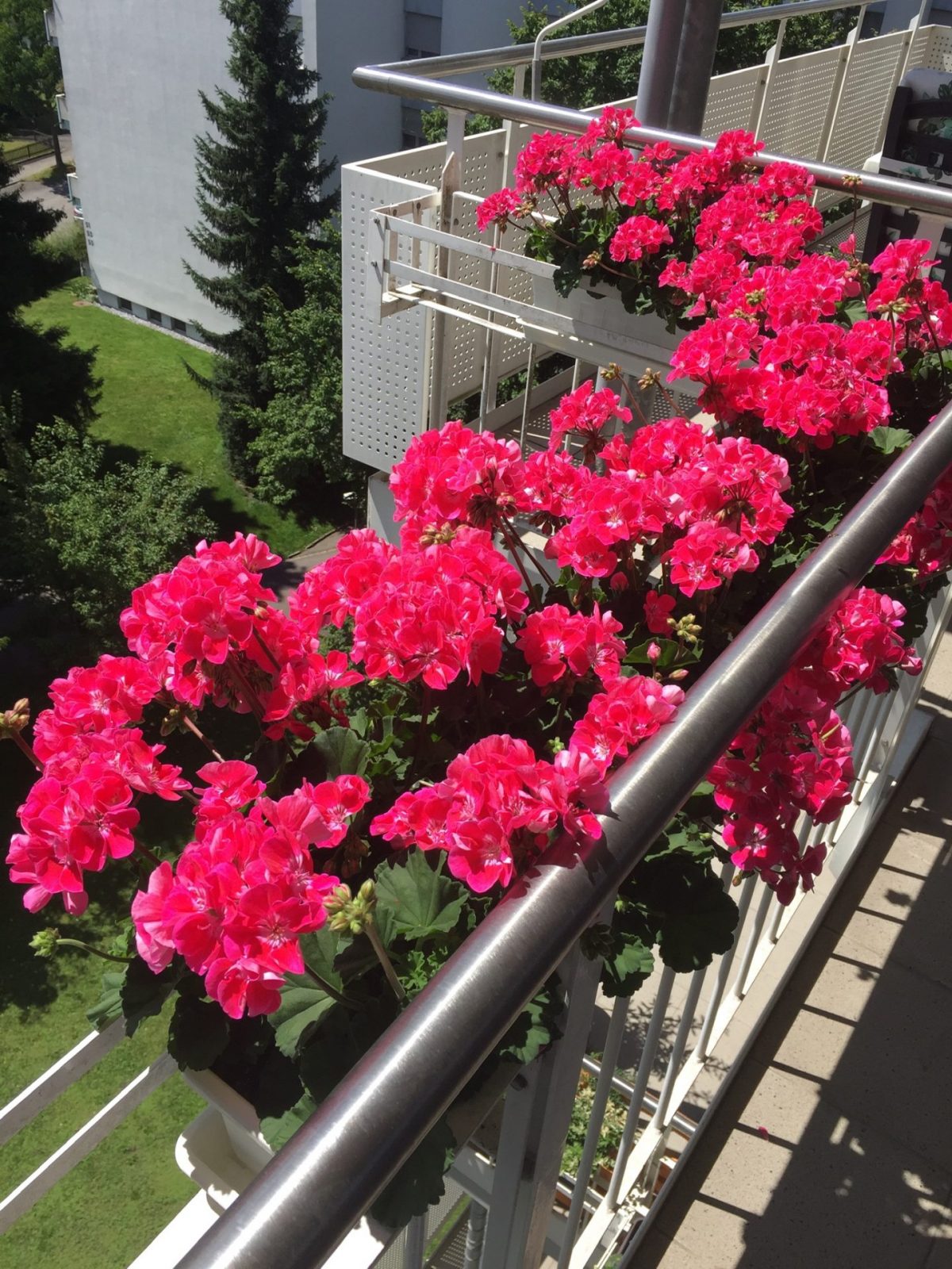 E857BC24-035E-47A1-B293-5F2536FB3178