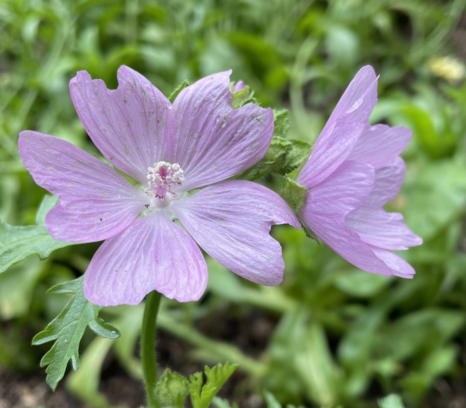 E97FF33E-BA7B-4116-ABA7-78EE2ADF2AE7