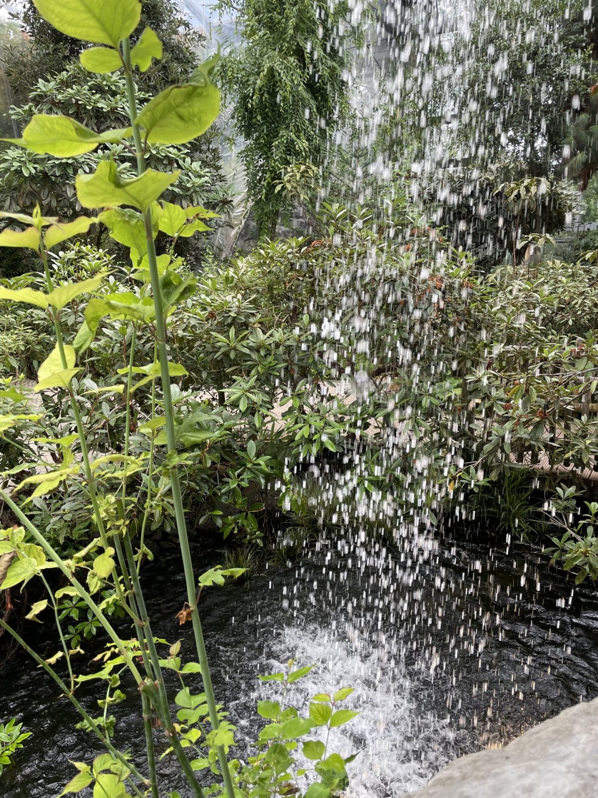 E988D7A0-7646-45A2-A1BE-5689263AC6AF