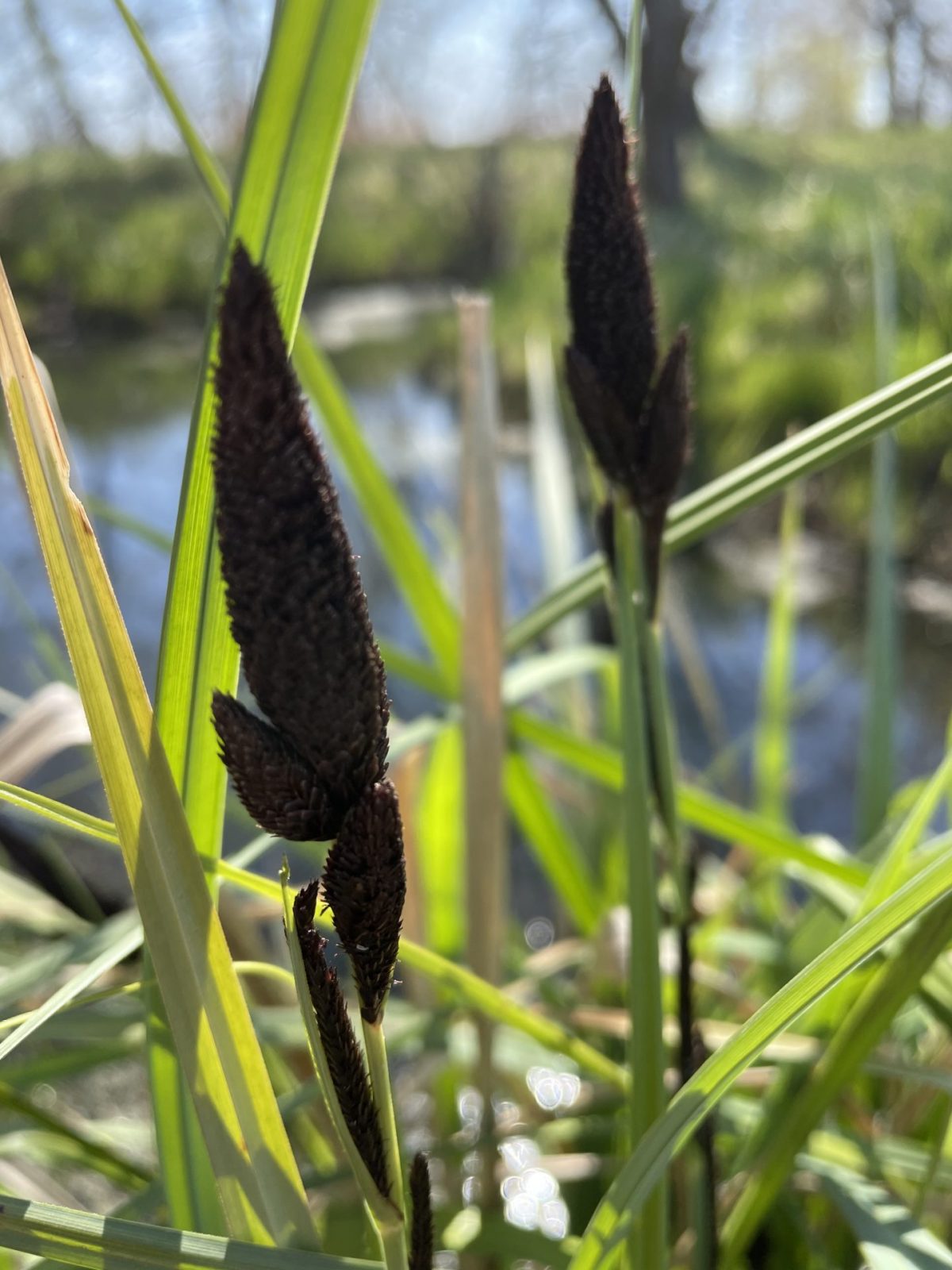 E9D66C97-9FB8-402D-B1C2-EF67EDC84EA0