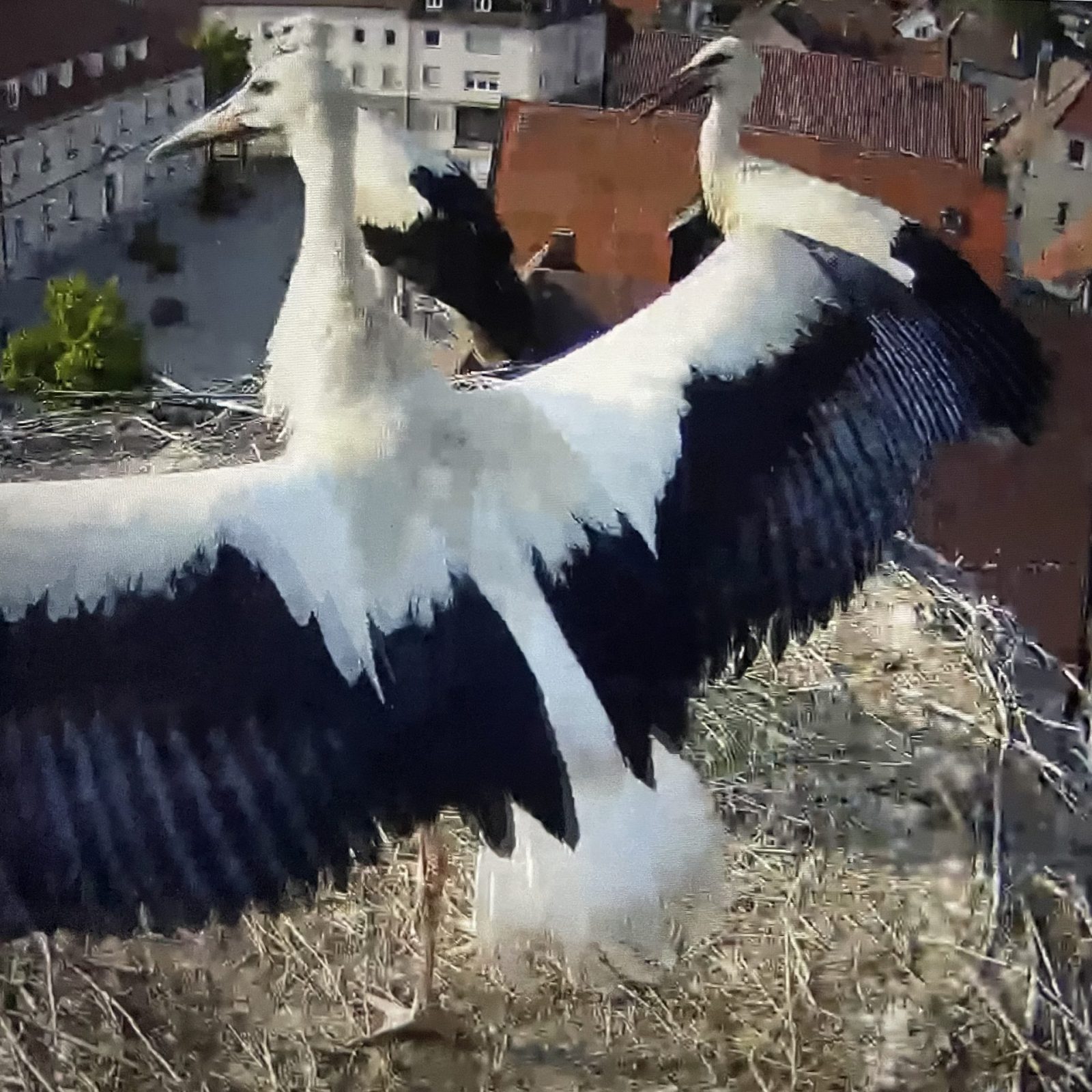 E9DA5E47-E7A3-40BD-AB29-C4903652E73B