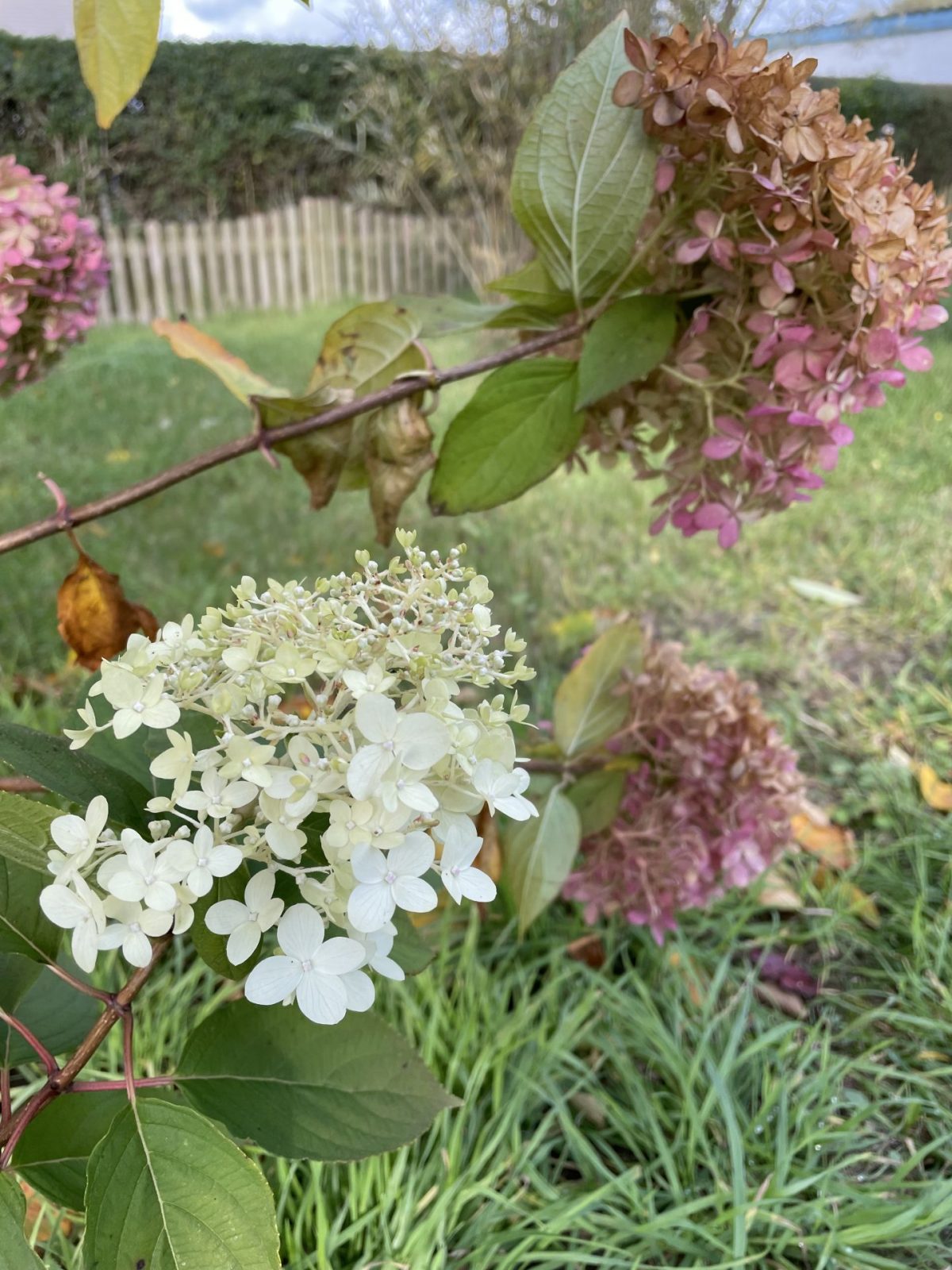 EA4888CA-7A12-4FA3-8BE5-0A9D0A9F742C