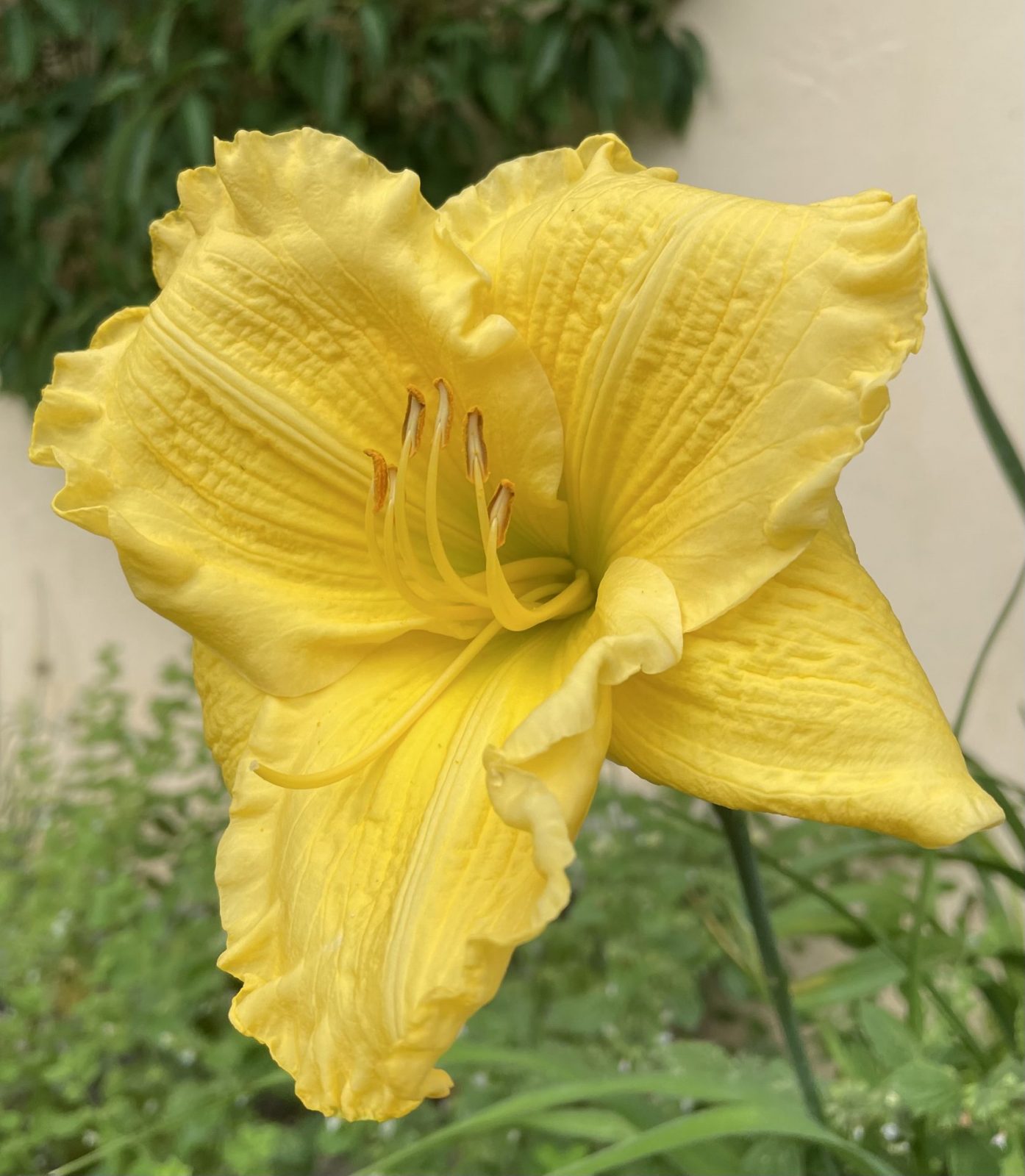 EA92B1F6-2E61-401A-B04E-11ECD1DC69F9