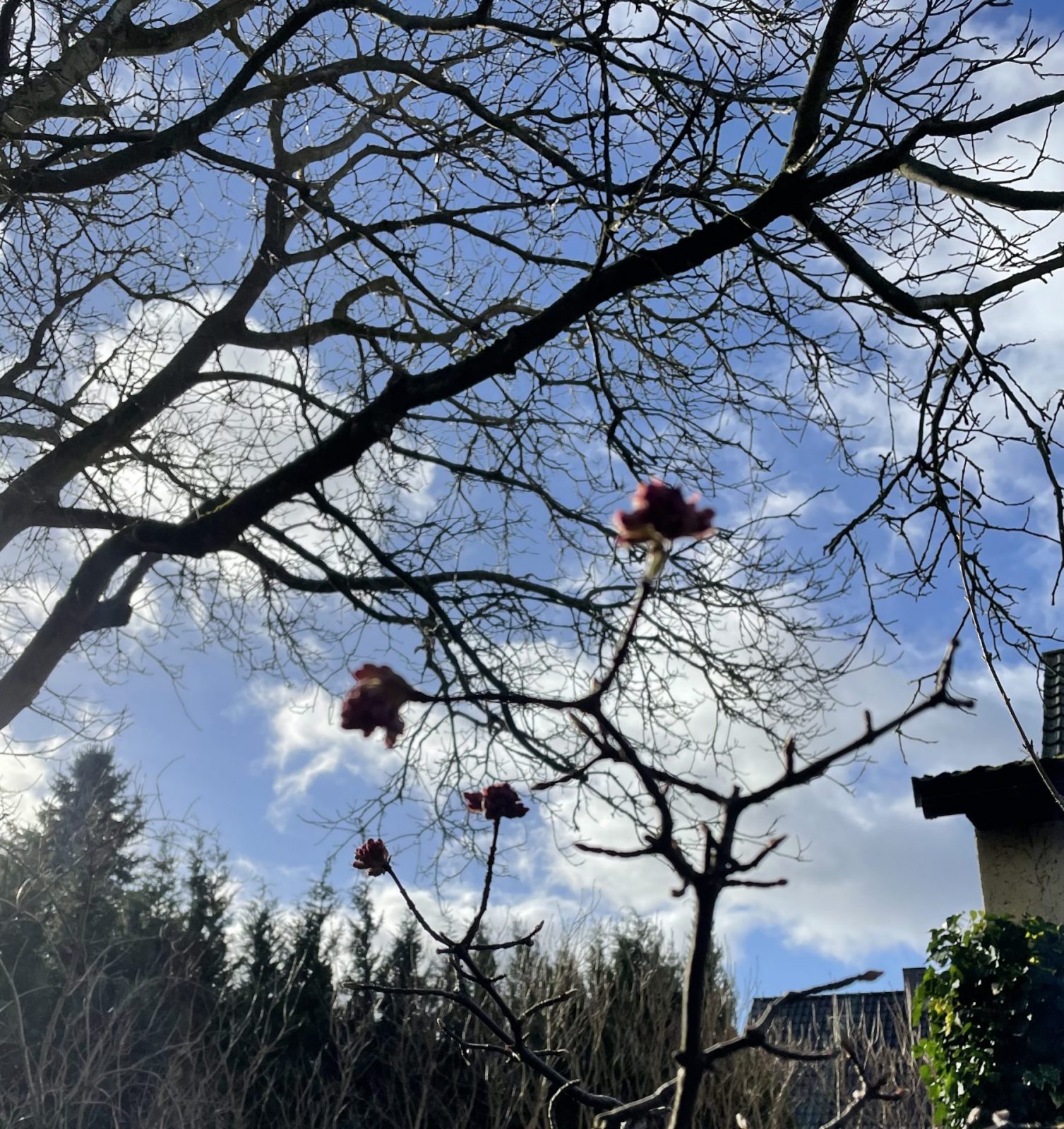 EAF31EE4-196E-4C6D-83AC-E9BE1DD225A6