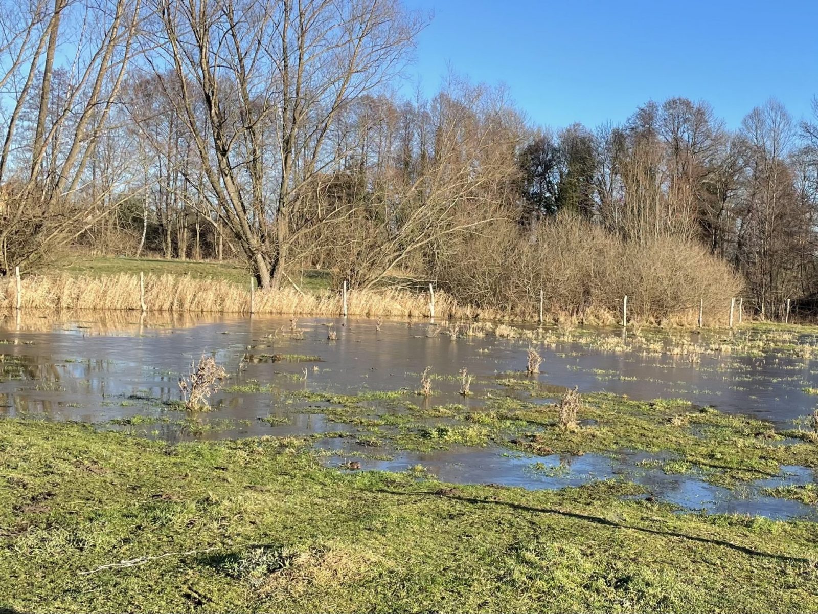 EB31E48C-657C-4EFA-B2F0-EB57FD844EBA