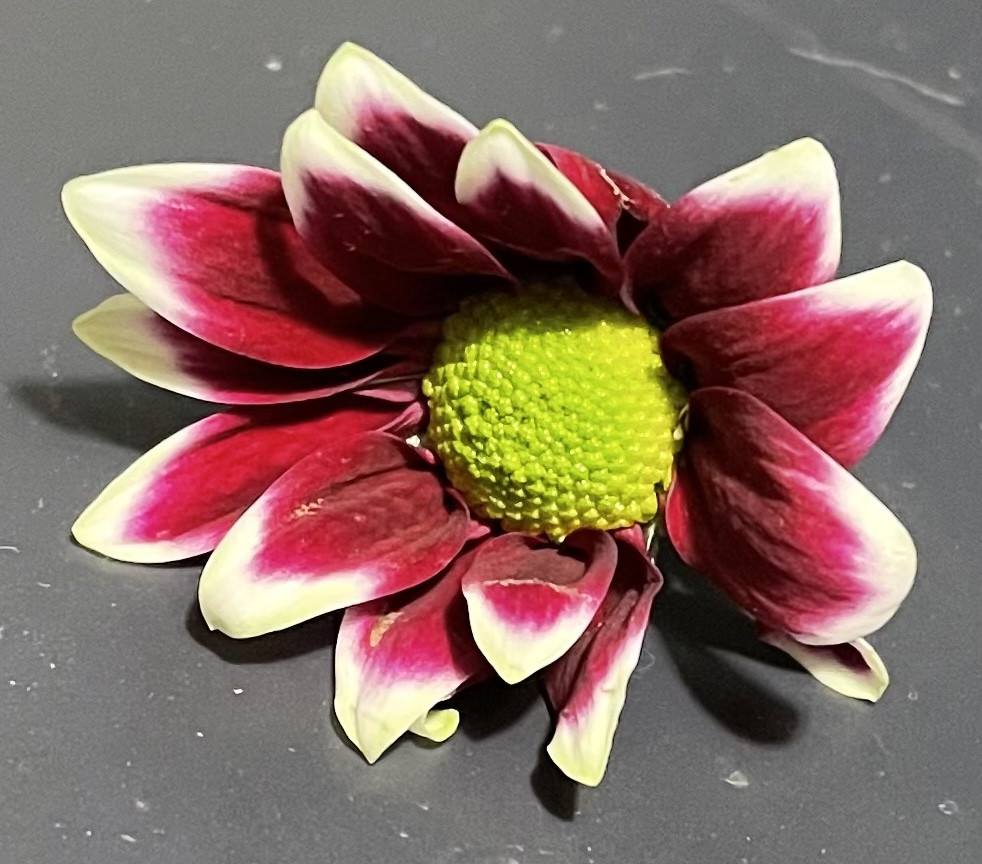 EB392603-4B97-4105-B744-4A841A0F8FC0