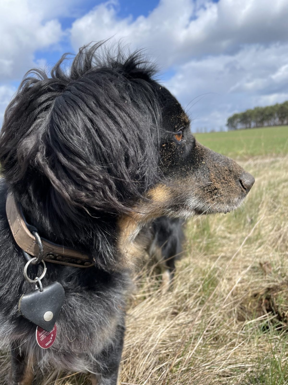 EB7DEFB8-A001-4B28-B996-5560A492EA02