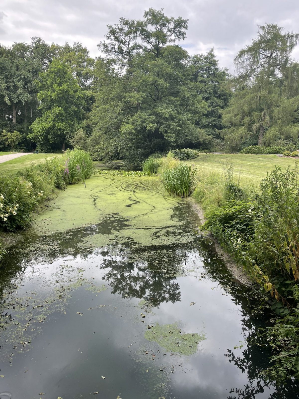 EBBC8EDA-1DE3-4A47-9D3F-D1A556C77FF0