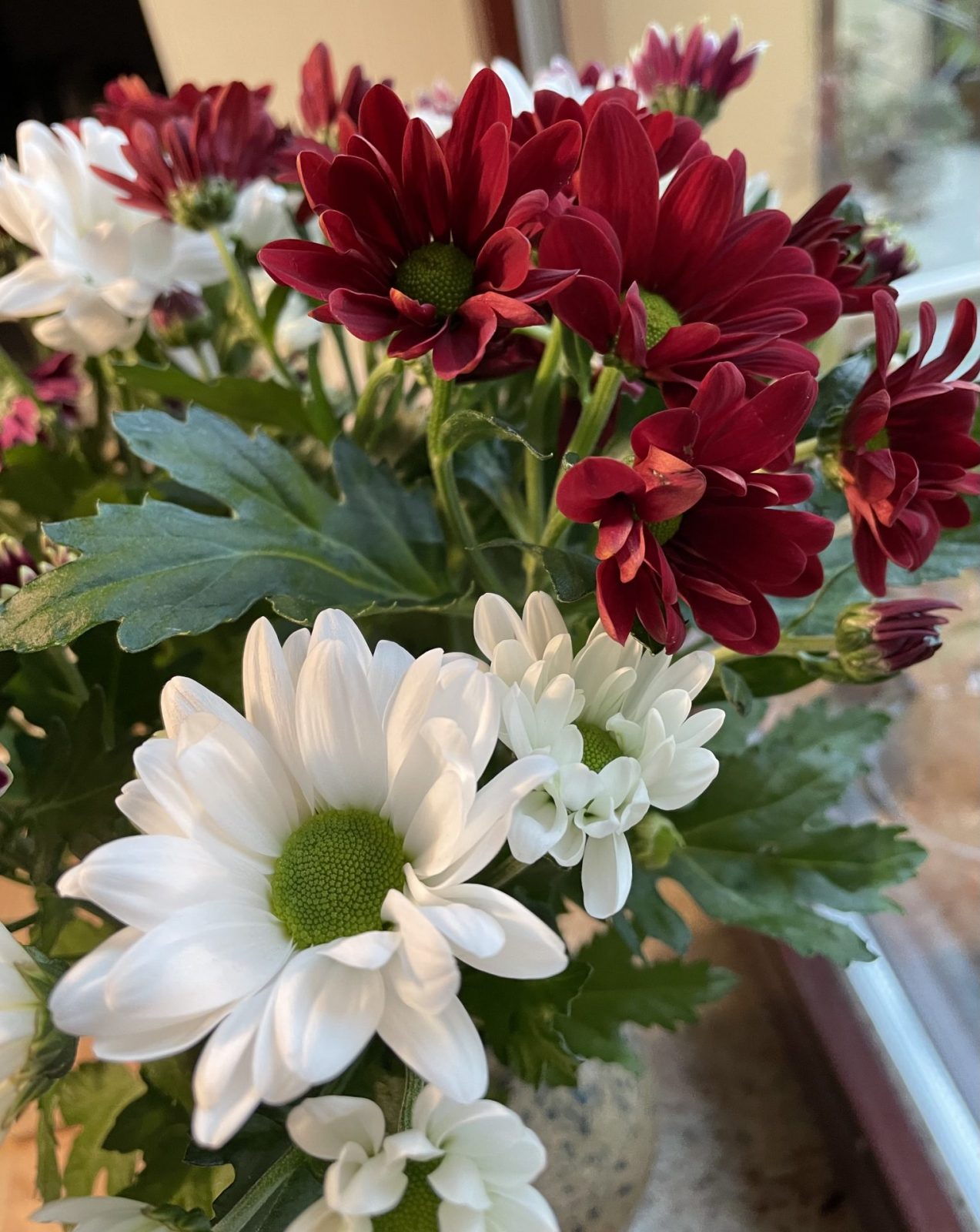 EBCAA93E-BA48-404F-A497-AA3AFC56A23A