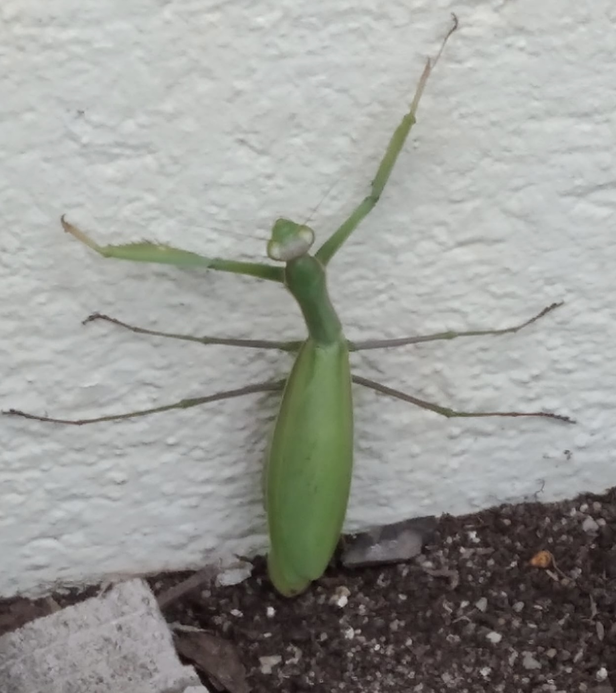 EBFD233D-99F7-4BCB-BAAD-F7F53F319CE1