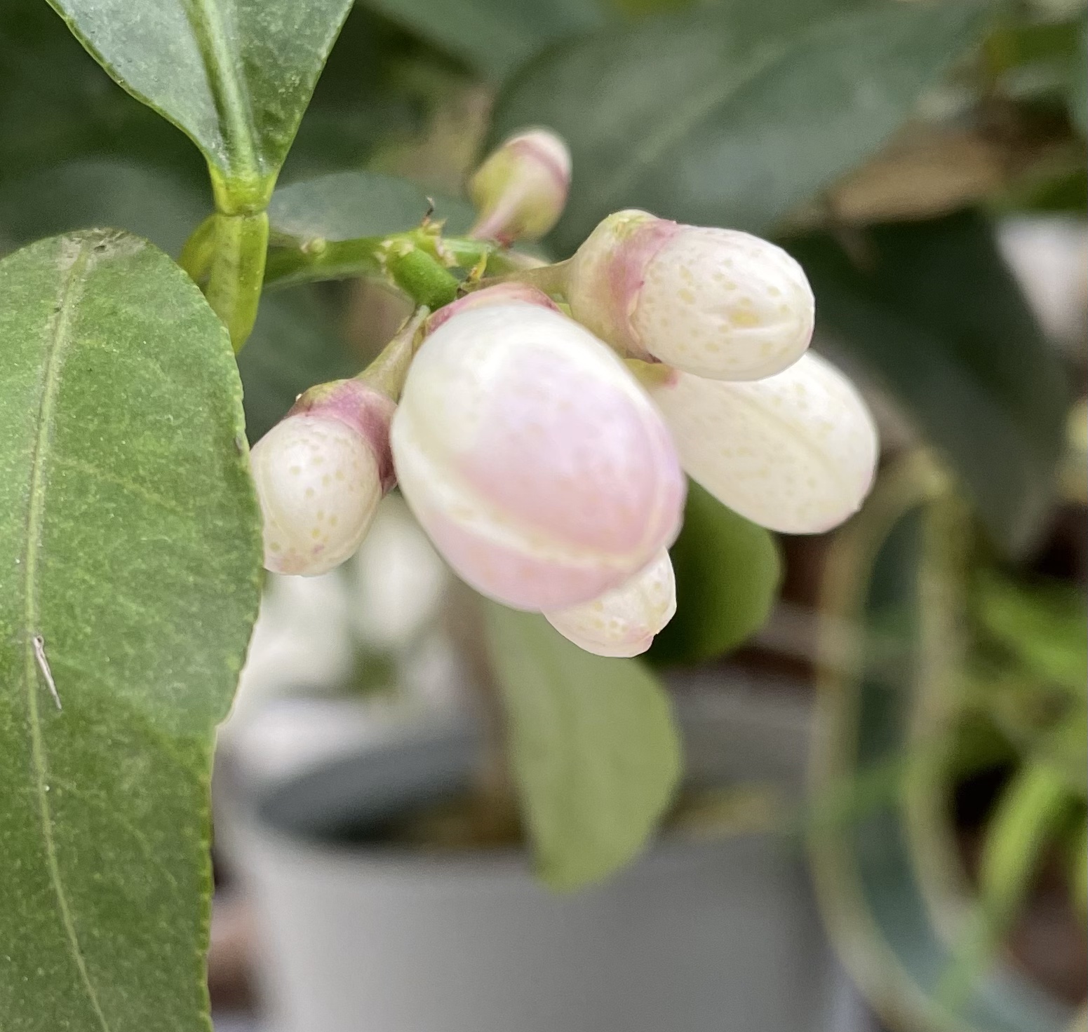 EC034B58-F414-43FC-B975-6153372ADCD5