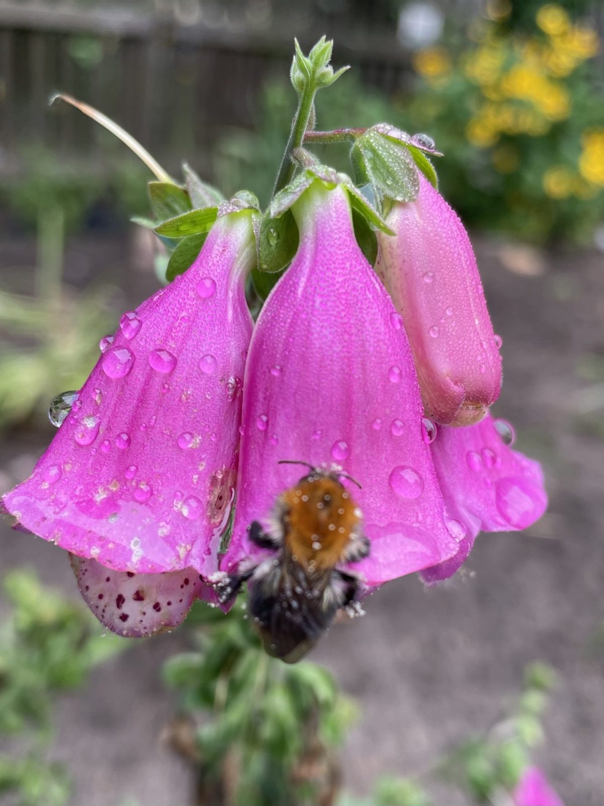 EC9310DC-811E-49F7-BE1C-01FAFD80A934