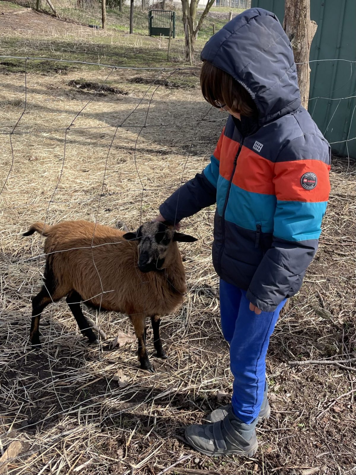 ECEC1F5C-CB46-4CF5-8031-7A0612DD2A7D