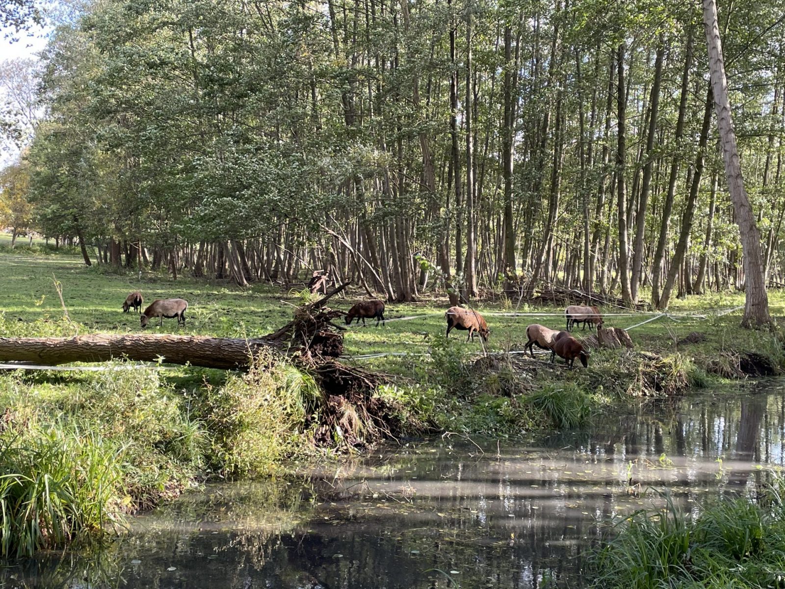 ED42BA1A-5B2E-4B0E-9490-EC9440AA9C61